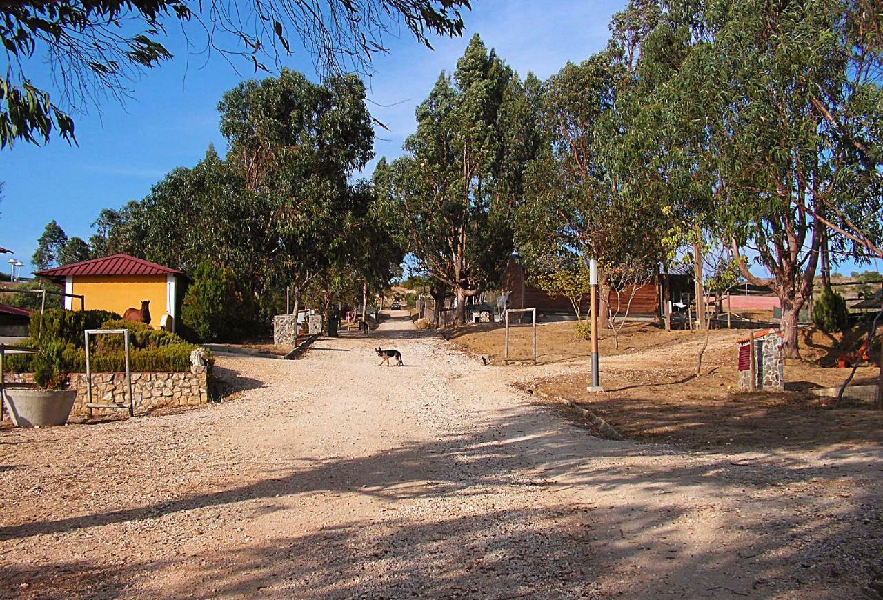 Herdade Da Hera Азамбужа Экстерьер фото