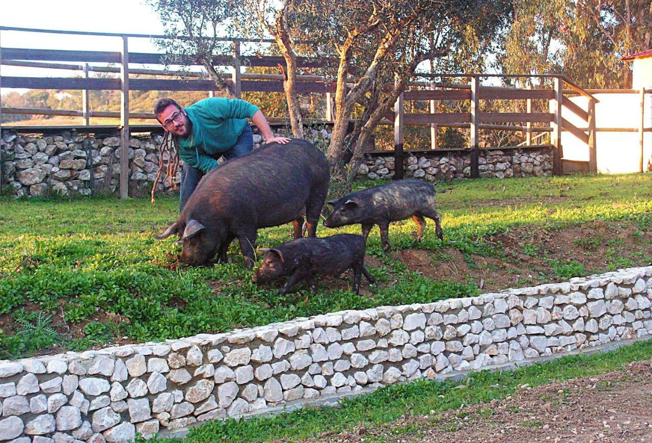 Herdade Da Hera Азамбужа Экстерьер фото