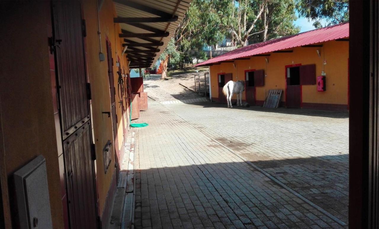 Herdade Da Hera Азамбужа Экстерьер фото